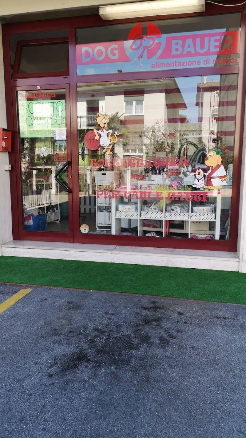 L’Isola dei Pelosi - Foto 6