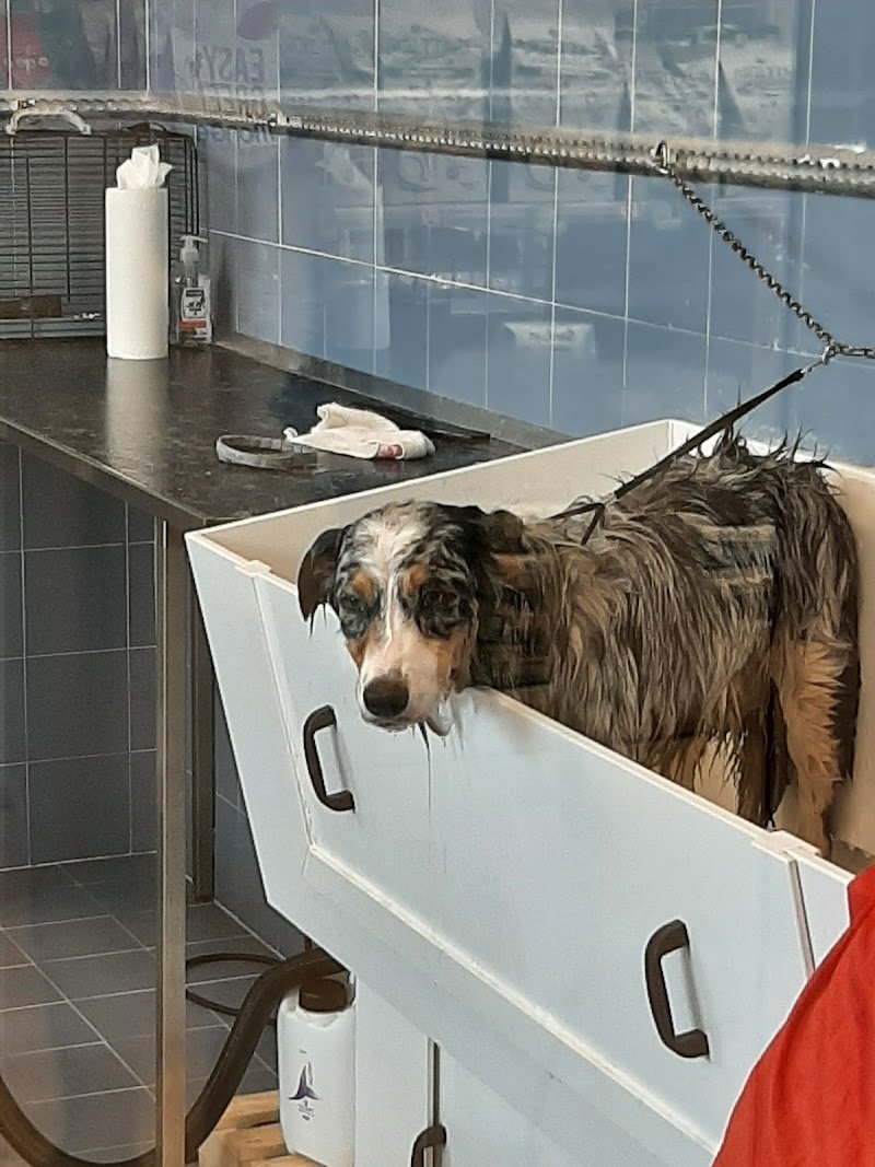 L'Isola dei Tesori - Foto 3