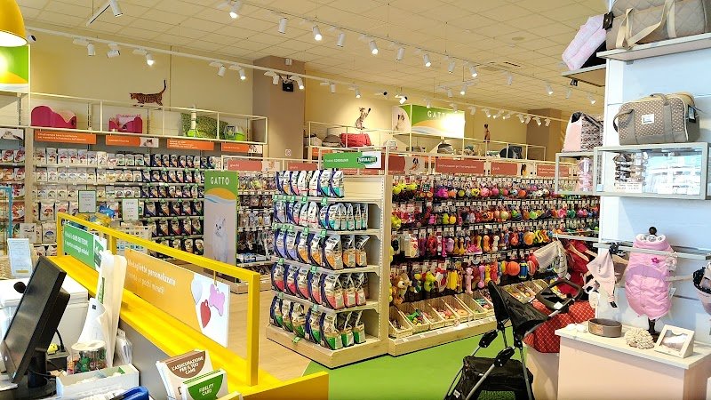 L'Isola dei Tesori - Foto 5