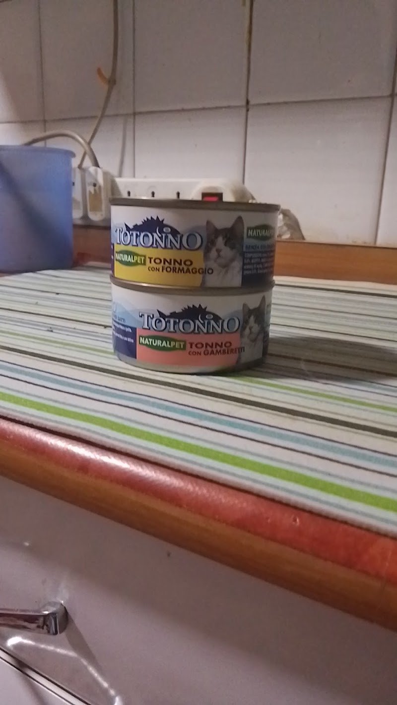 L'Isola dei Tesori - Foto 6