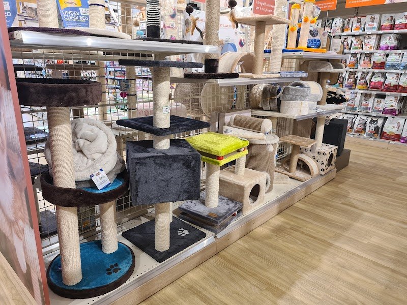 L'Isola dei Tesori - Foto 2