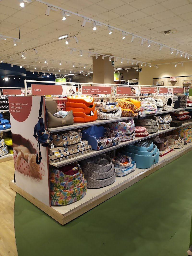 L'Isola dei Tesori - Foto 3