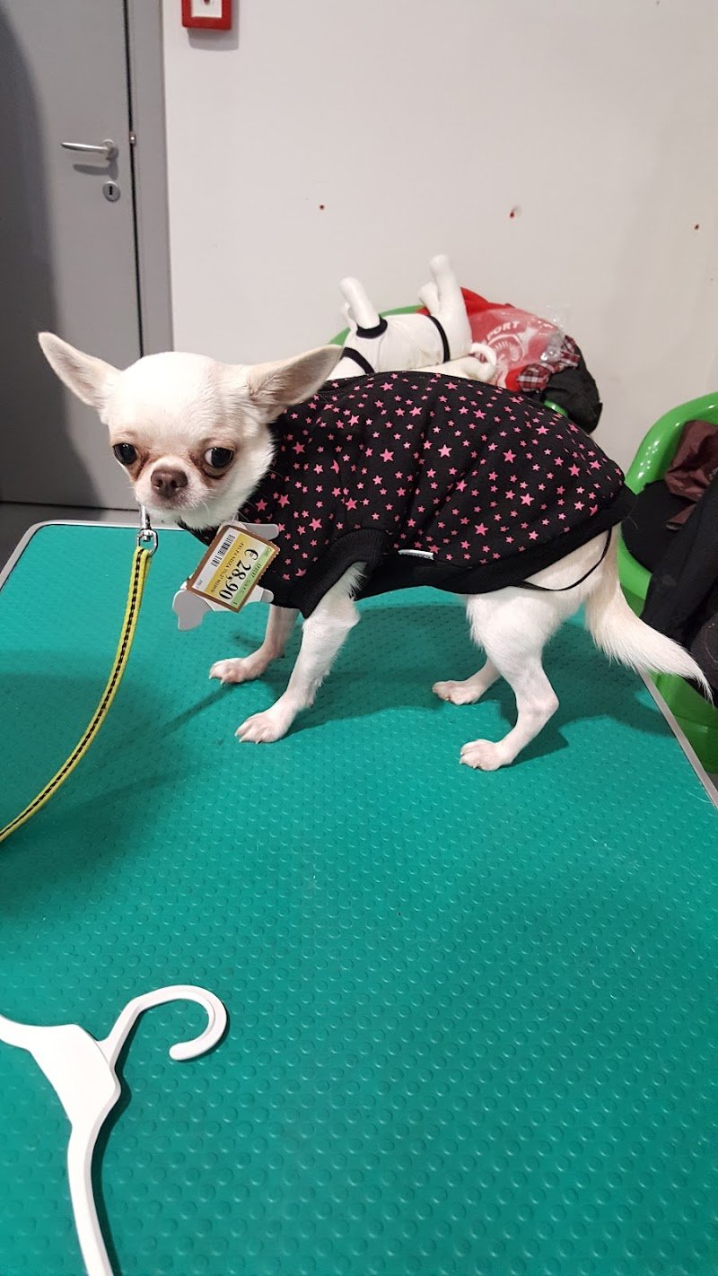 L'Isola dei Tesori - Foto 4