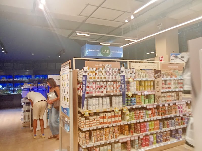 L'Isola dei Tesori - Foto 5