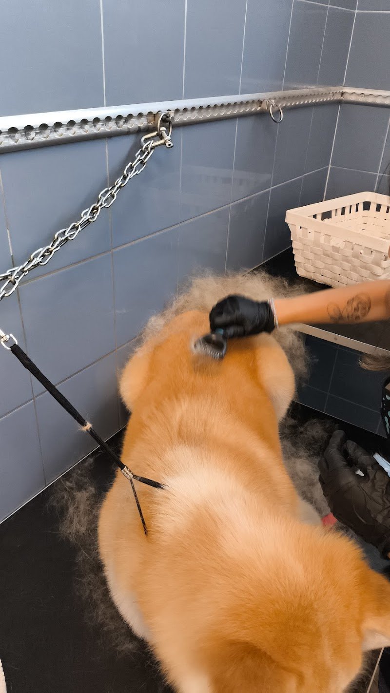 L'Isola dei Tesori - Foto 4