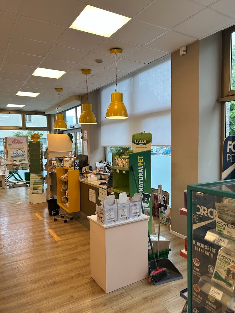 L'Isola dei Tesori - Foto 3