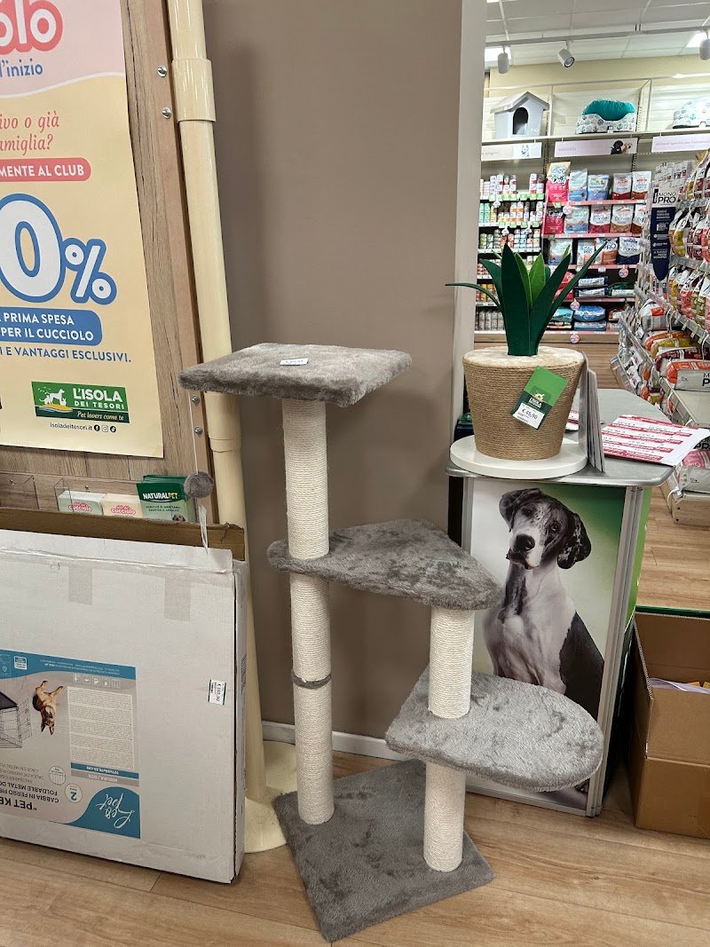 L'Isola dei Tesori - Foto 5