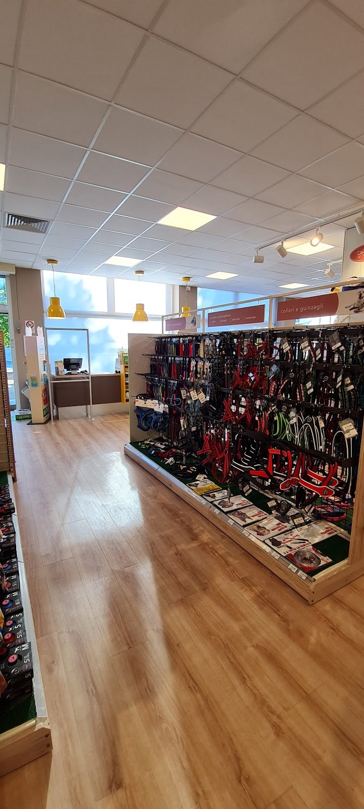 L'Isola dei Tesori - Foto 6