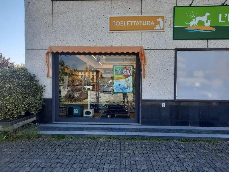 L'Isola dei Tesori - Foto 5