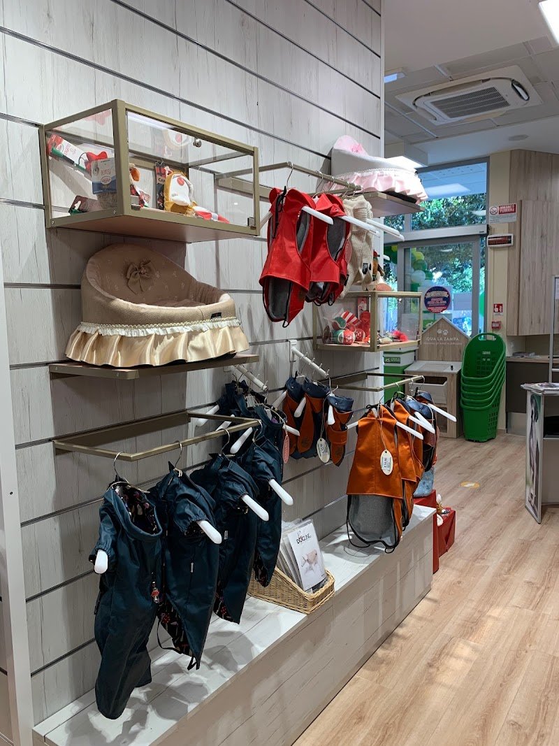 L'Isola dei Tesori - Foto 5