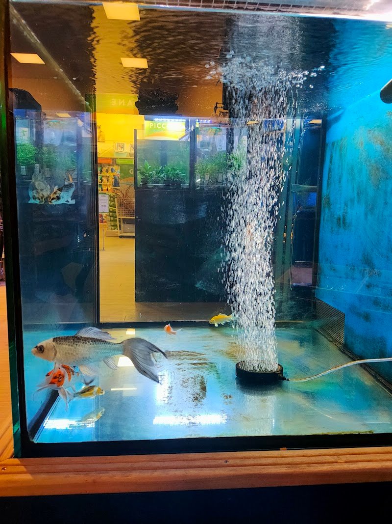 L'Isola dei Tesori - Foto 3