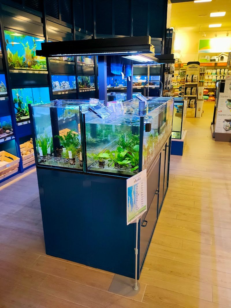 L'Isola dei Tesori - Foto 4