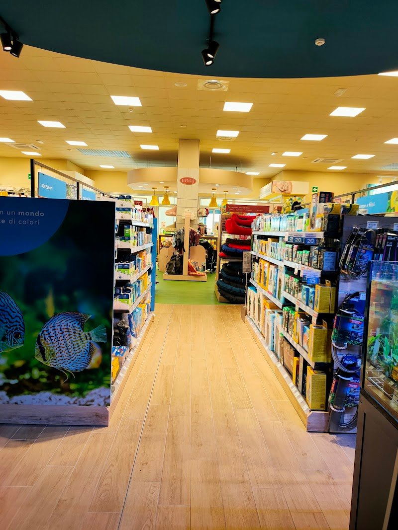 L'Isola dei Tesori - Foto 5