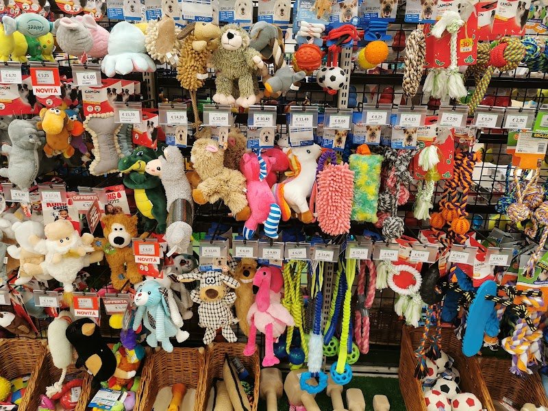 L'Isola dei Tesori - Foto 6