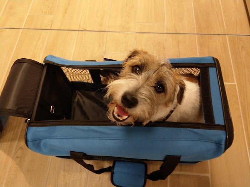 L'Isola dei Tesori - Foto 6