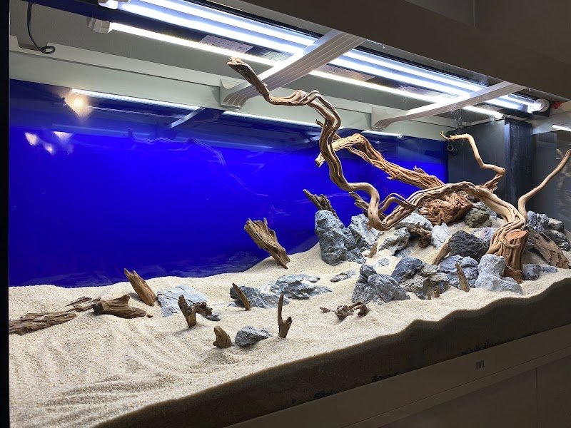 L'Isola dei Tesori - Foto 3