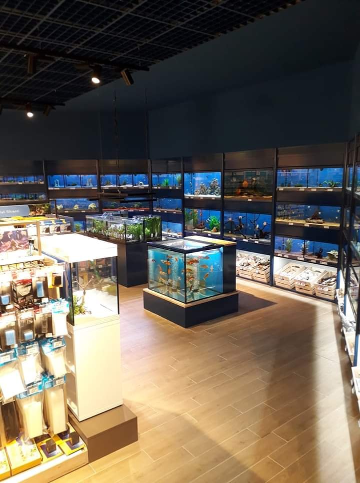 L'Isola dei Tesori - Foto 4