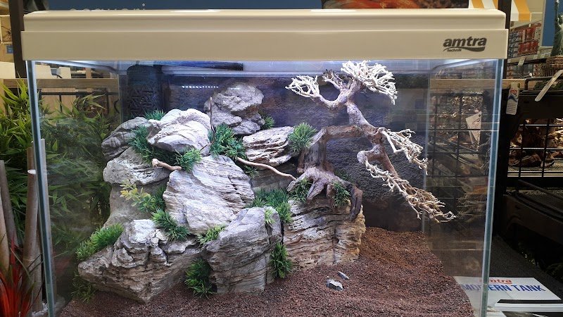 L'Isola dei Tesori - Foto 5