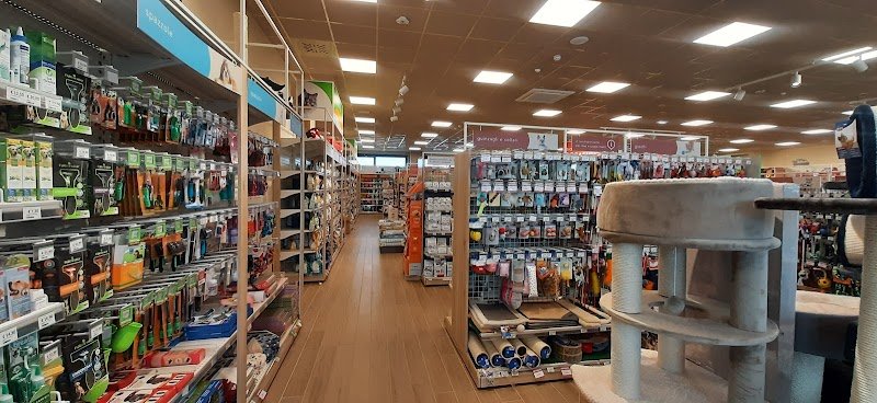 L'Isola dei Tesori - Foto 2