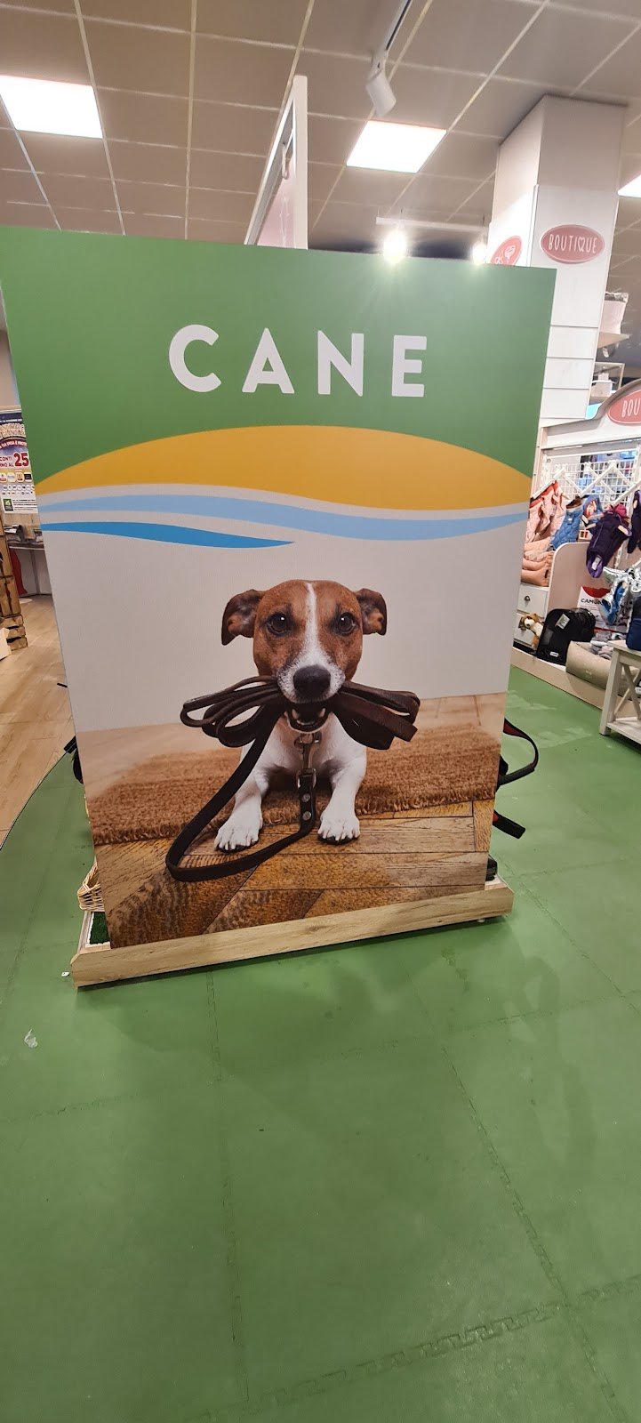 L'Isola dei Tesori - Foto 3