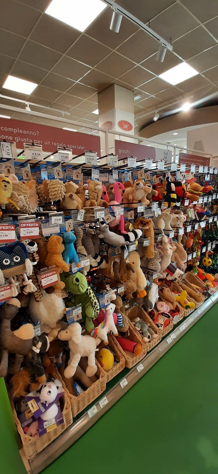 L'Isola dei Tesori - Foto 4