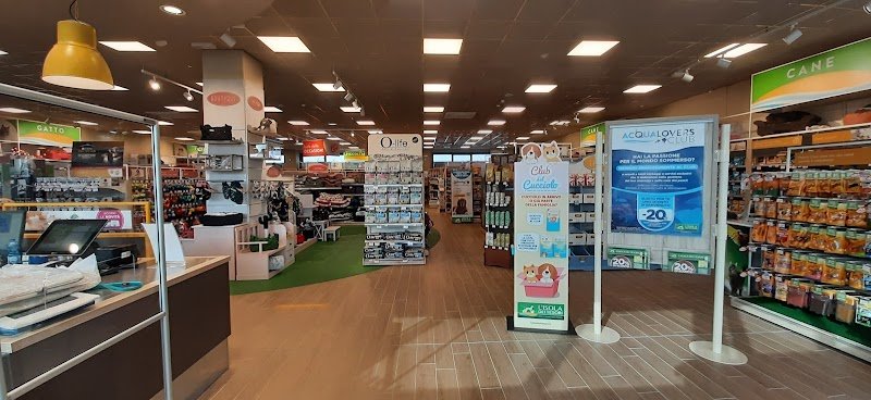 L'Isola dei Tesori - Foto 5