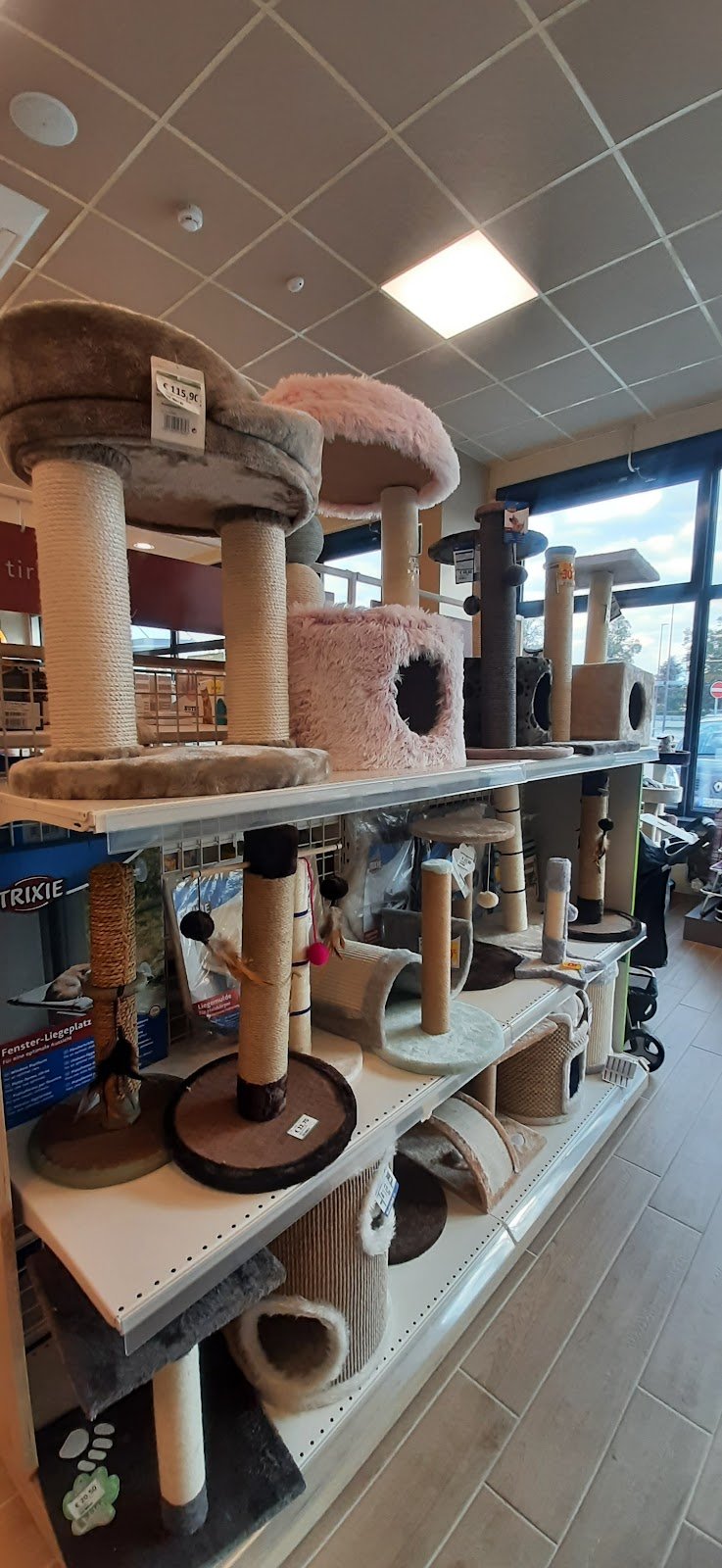 L'Isola dei Tesori - Foto 6