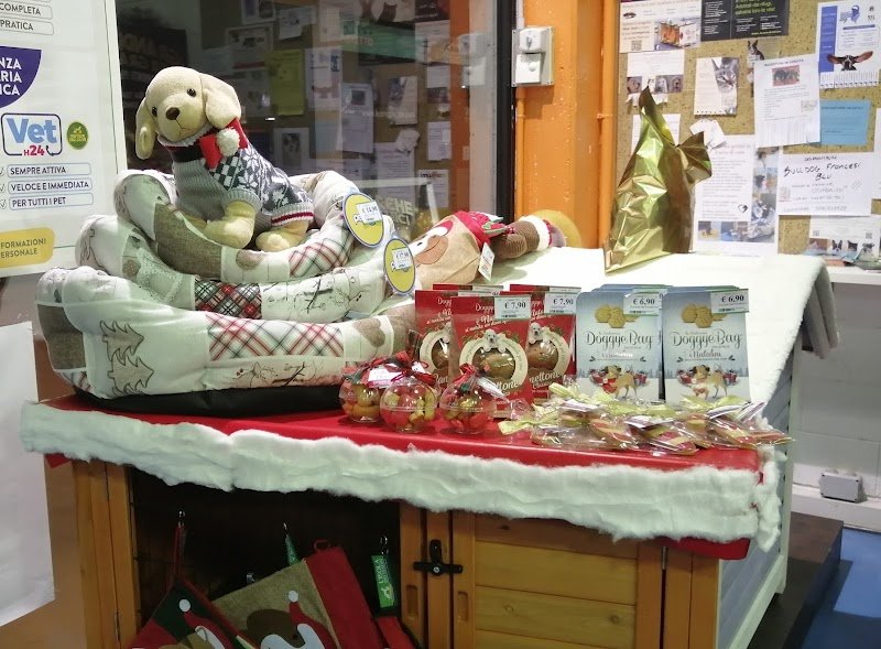 L'Isola dei Tesori - Foto 2