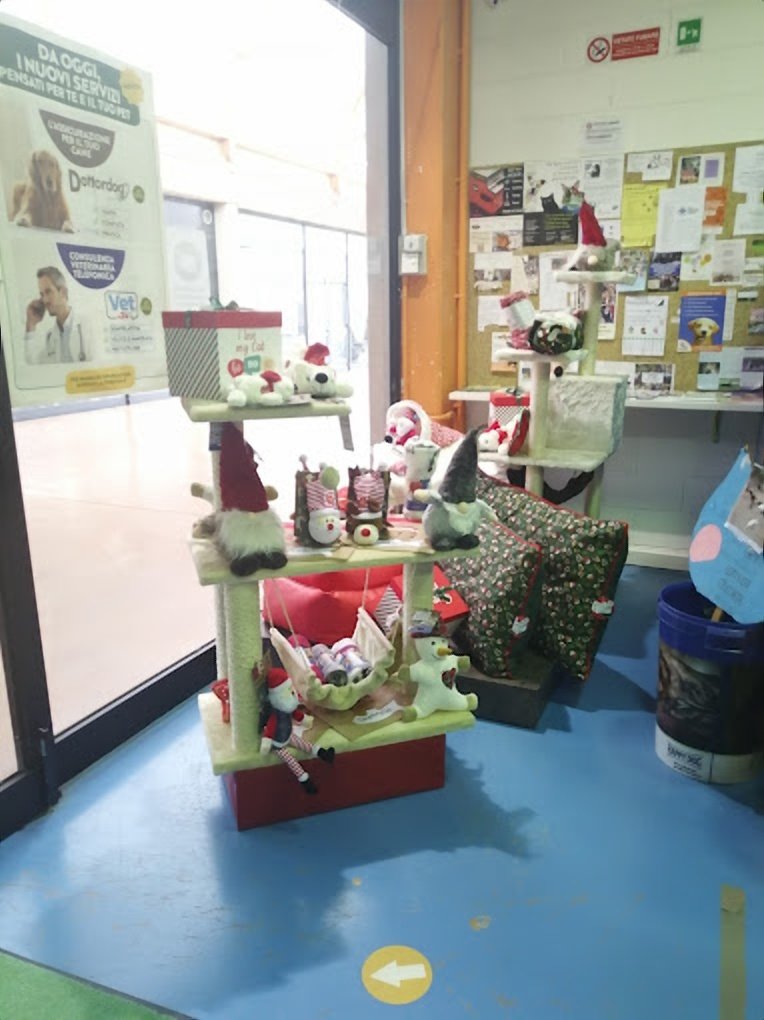 L'Isola dei Tesori - Foto 4