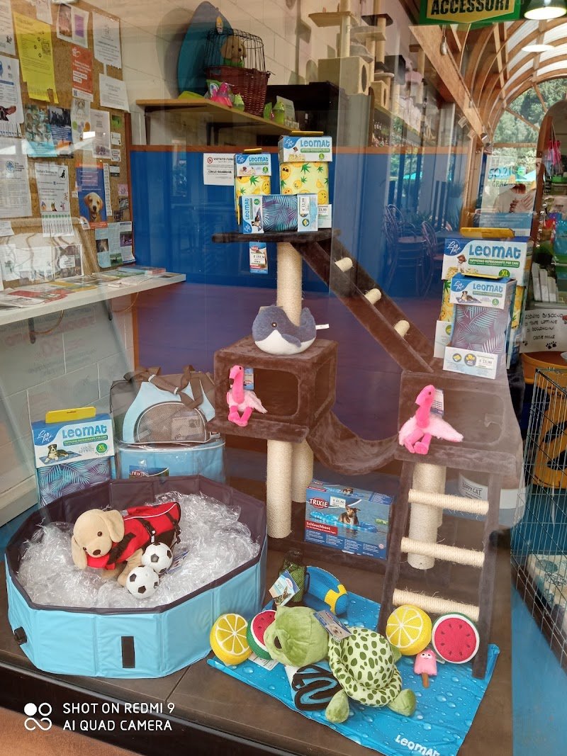 L'Isola dei Tesori - Foto 6