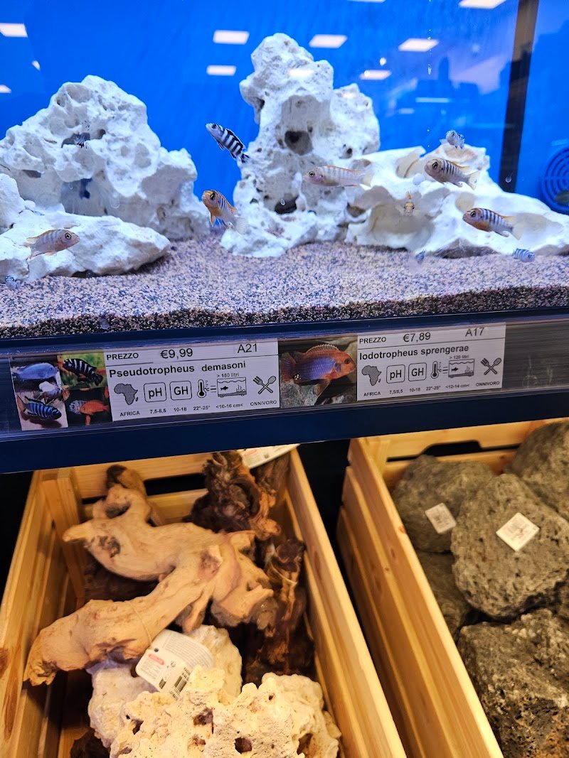 L'Isola dei Tesori - Foto 3