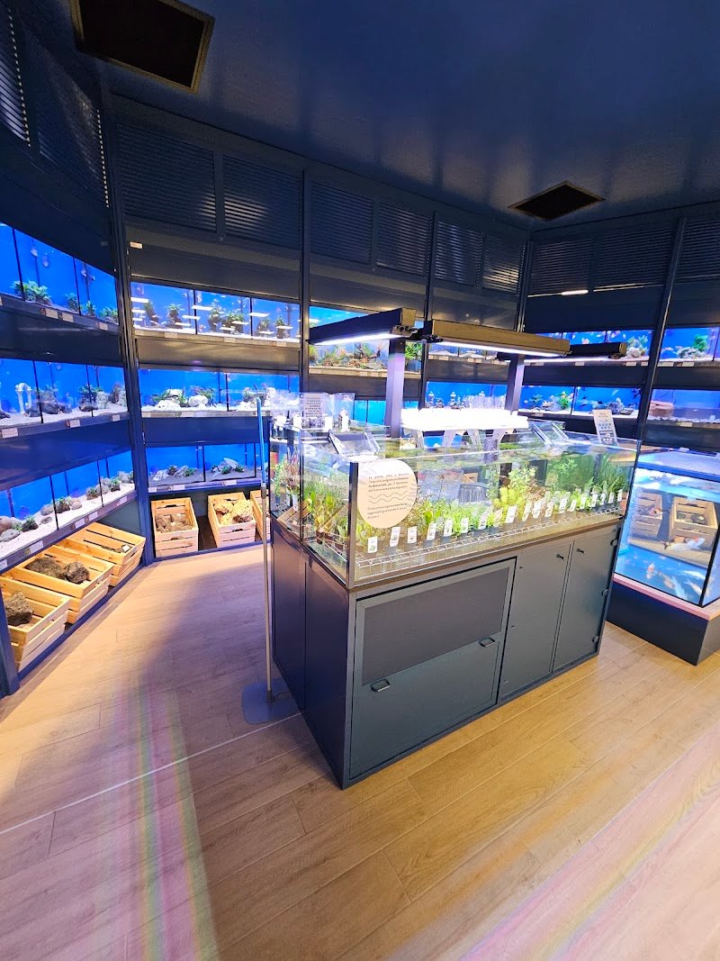 L'Isola dei Tesori - Foto 4