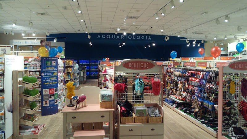 L'Isola dei Tesori - Foto 5