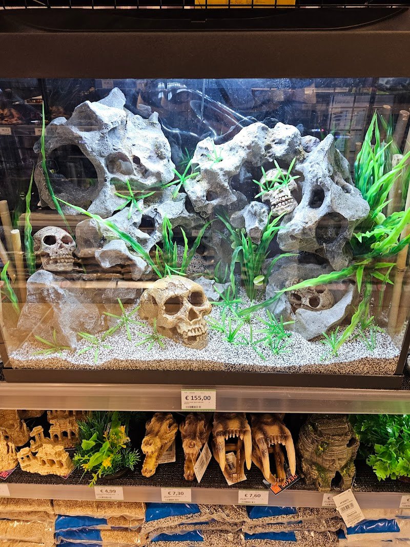 L'Isola dei Tesori - Foto 6