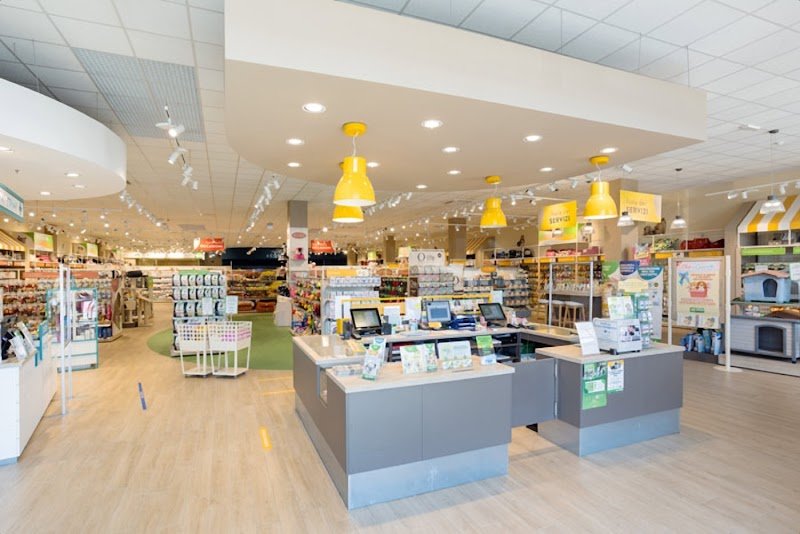 L'Isola dei Tesori - Foto 2