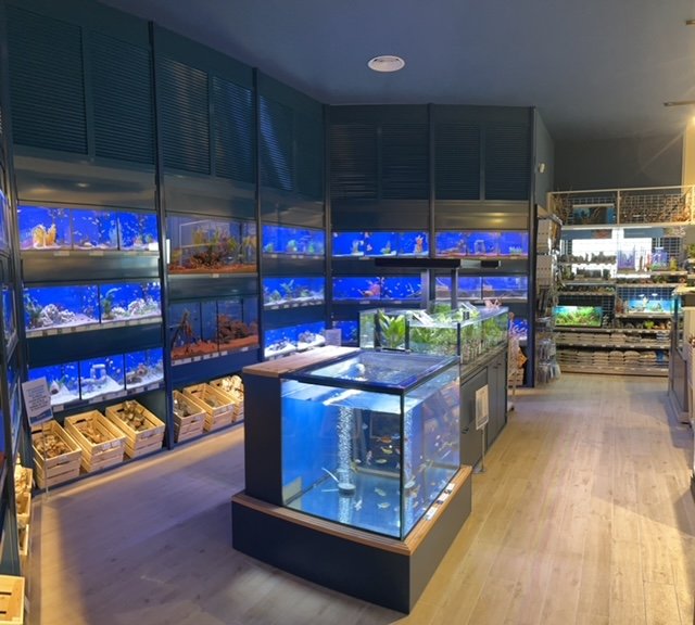 L'Isola dei Tesori - Foto 3