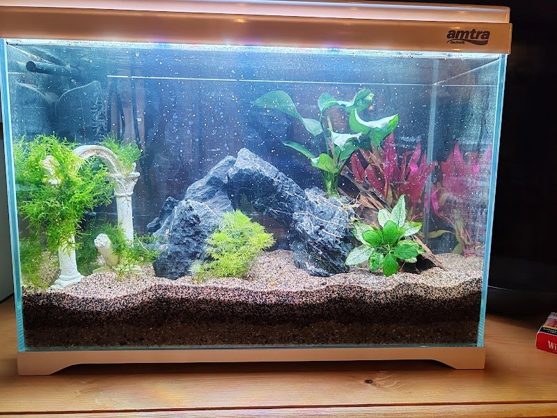 L'Isola dei Tesori - Foto 5