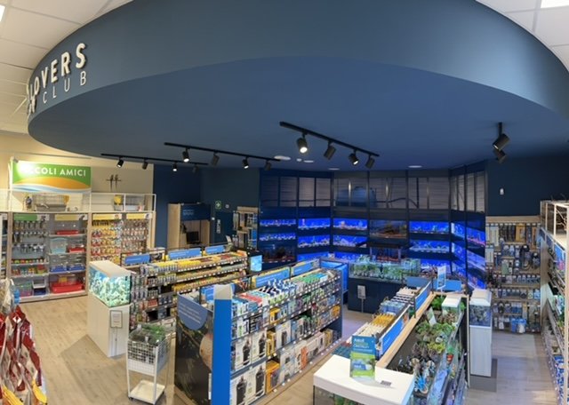 L'Isola dei Tesori - Foto 6