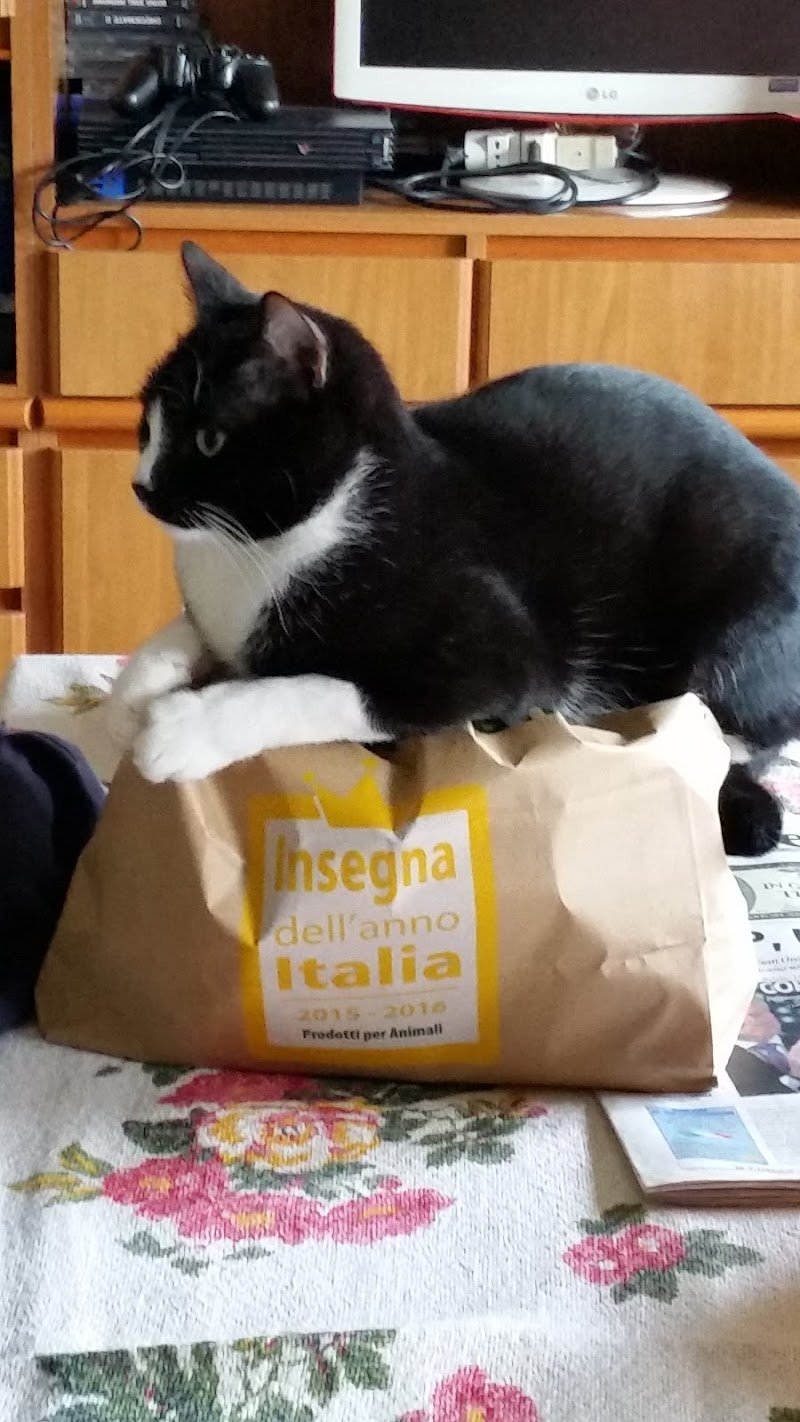 L'Isola dei Tesori - Foto 3