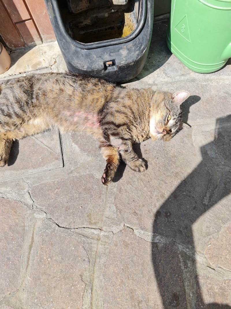 L'Isola dei Tesori - Foto 4