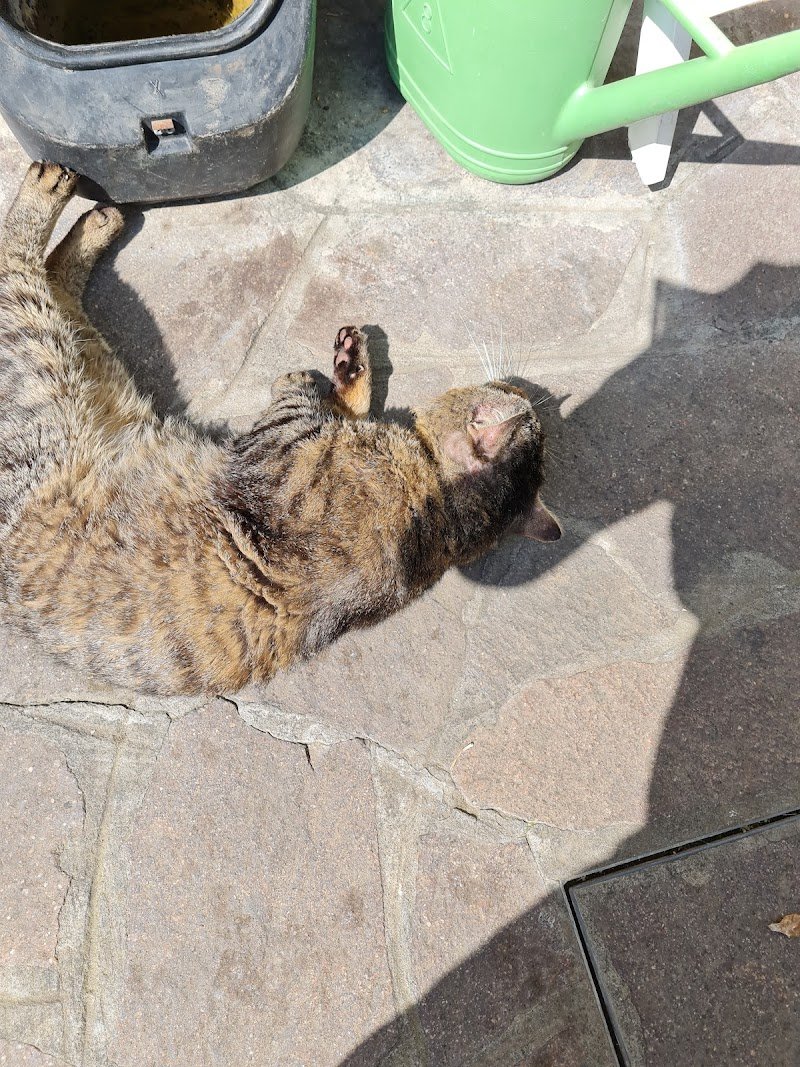 L'Isola dei Tesori - Foto 5