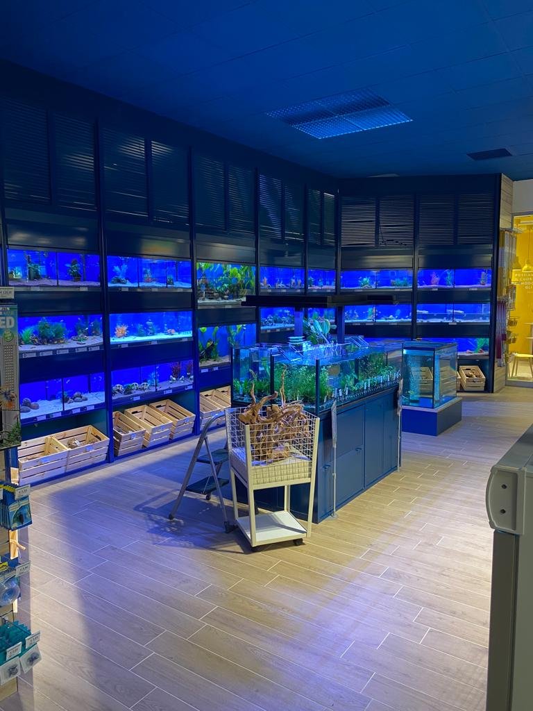 L'Isola dei Tesori - Foto 4