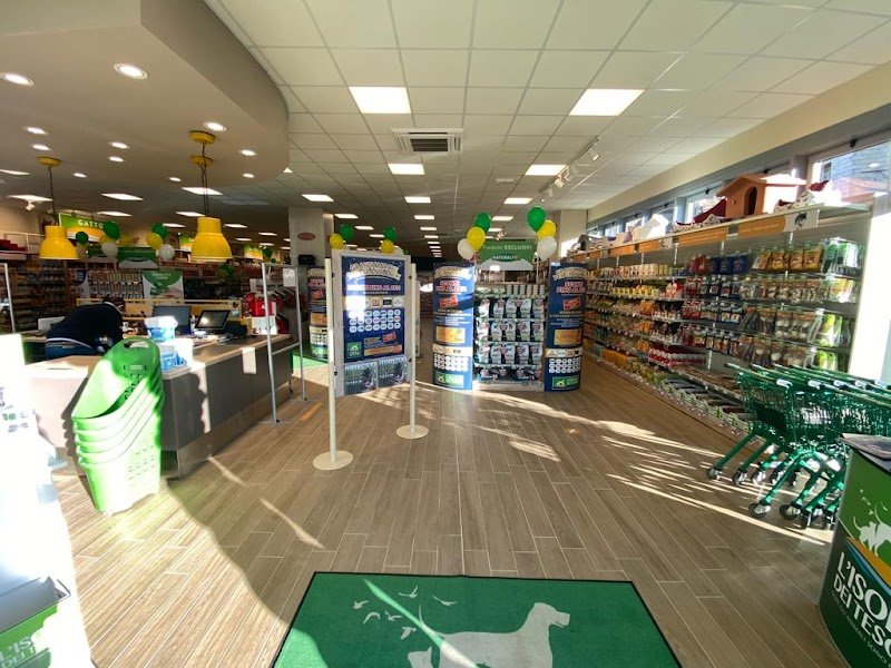 L'Isola dei Tesori - Foto 6