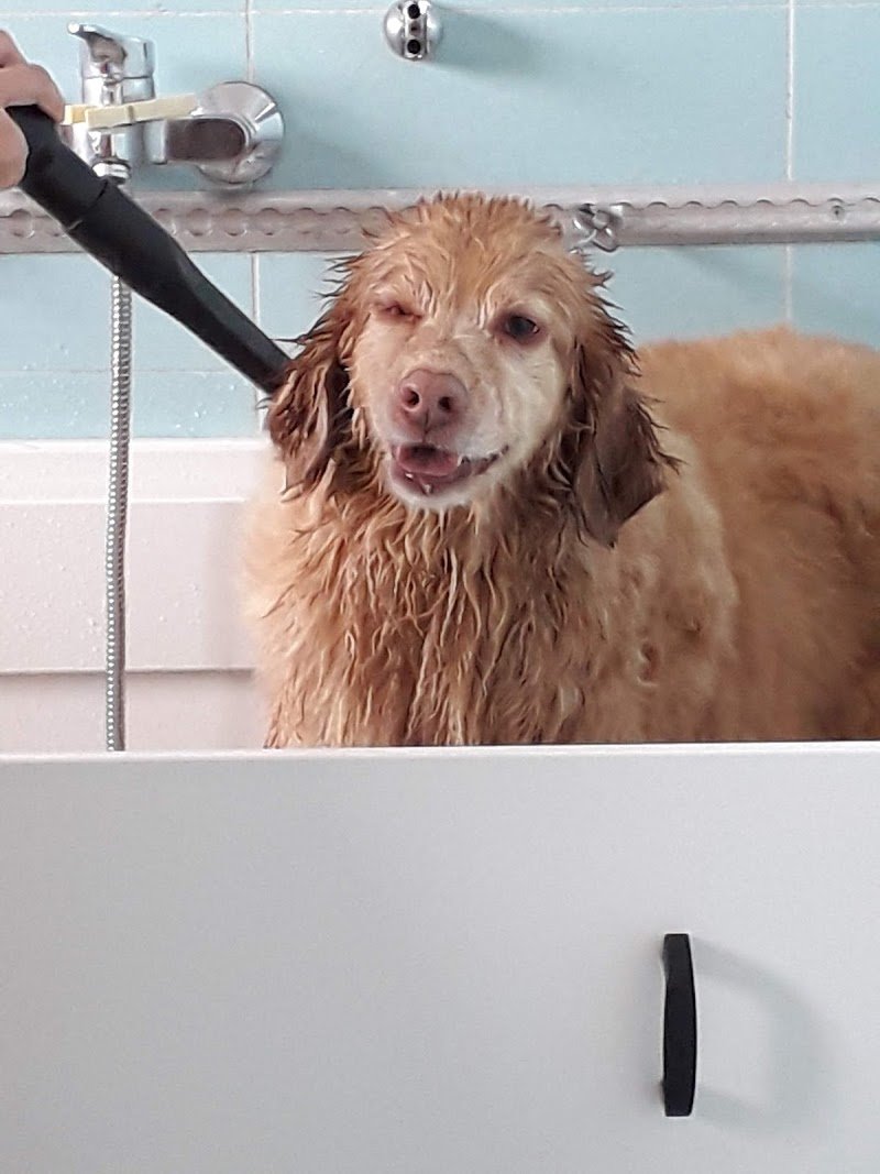 L'Isola dei Tesori - Foto 4