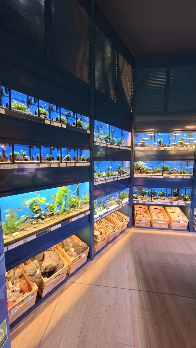 L'Isola dei Tesori - Foto 2