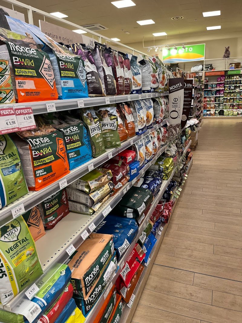 L'Isola dei Tesori - Foto 3