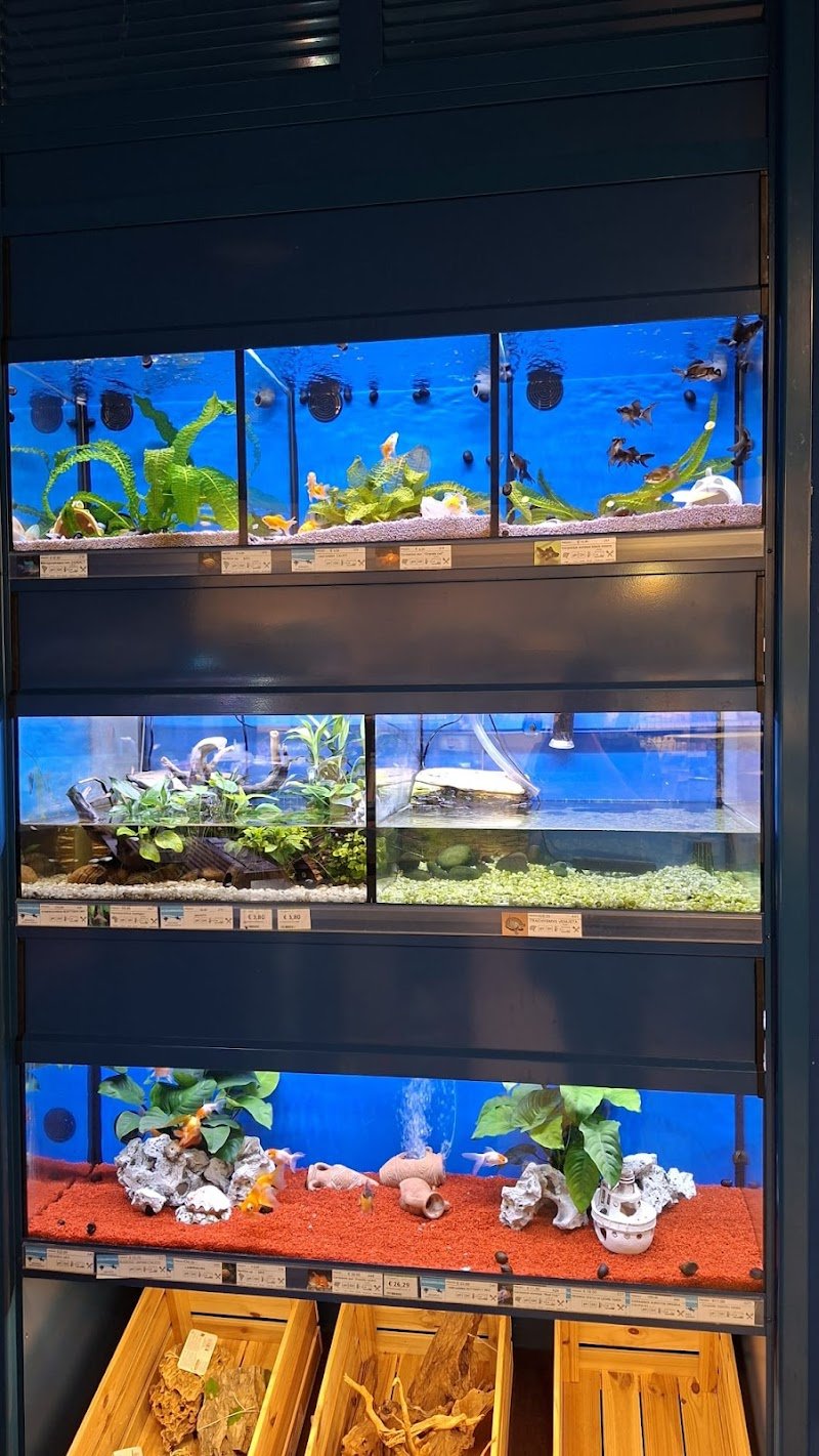 L'Isola dei Tesori - Foto 5