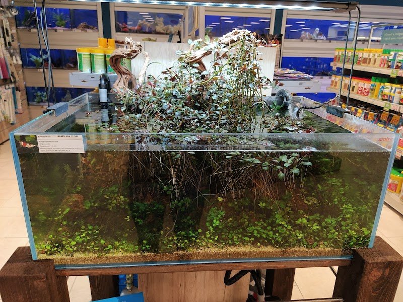 L'Isola dei Tesori - Foto 2