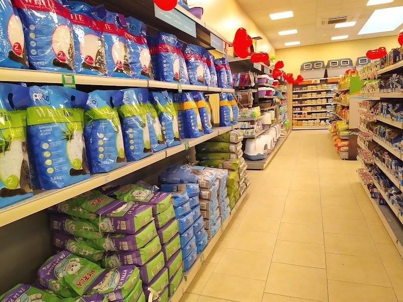 L'Isola dei Tesori - Foto 3