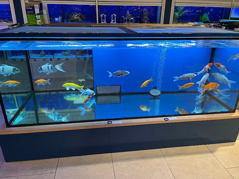 L'Isola dei Tesori - Foto 4